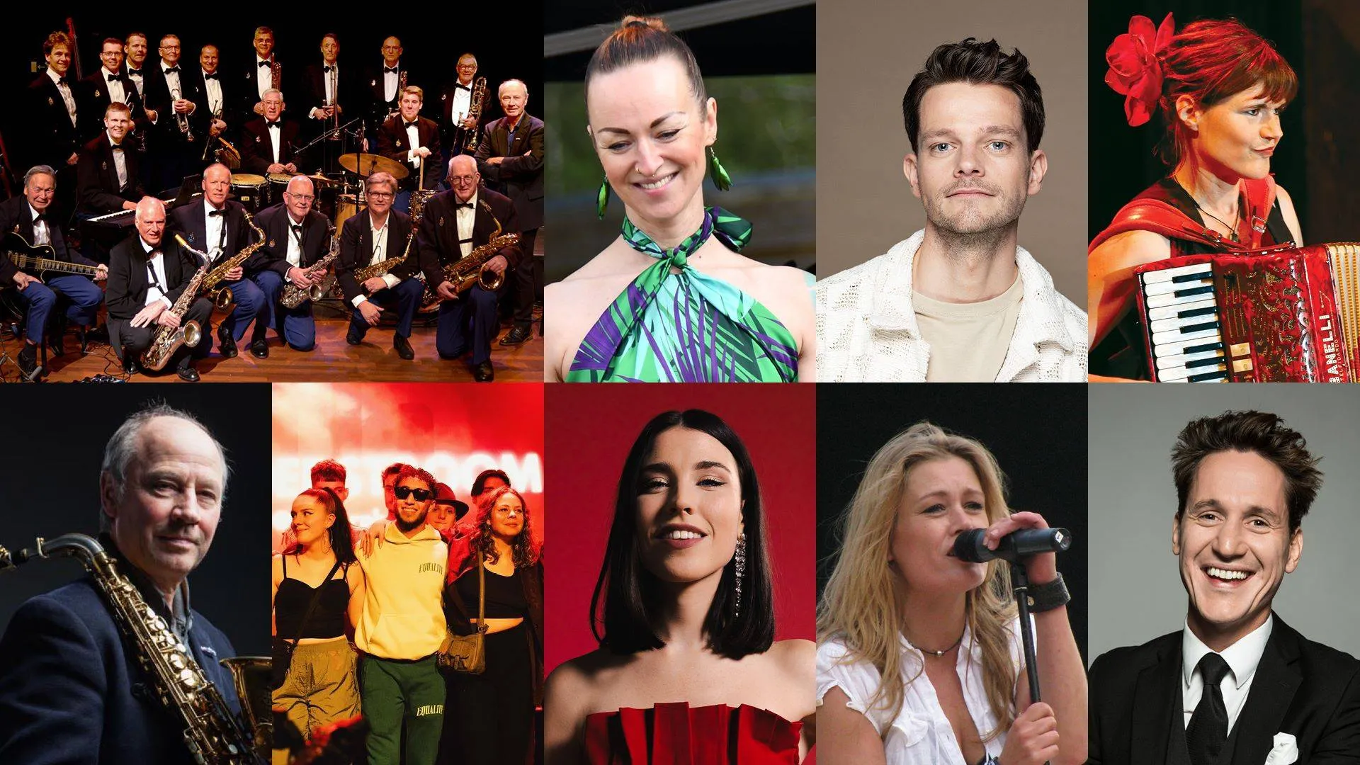 Artiesten Lions BenefietConcert