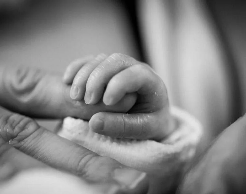 Geboortebos Uitbreiding . Gemeente Lingewaard