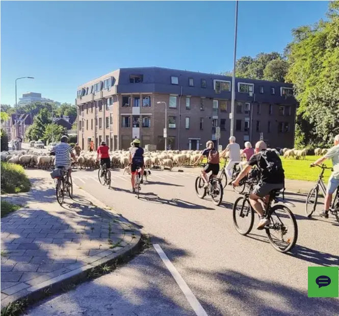 Screenshot 2025-12-17 at 14-21-09 Beste bermbokaal 2025 naar gemeente Nijmegen