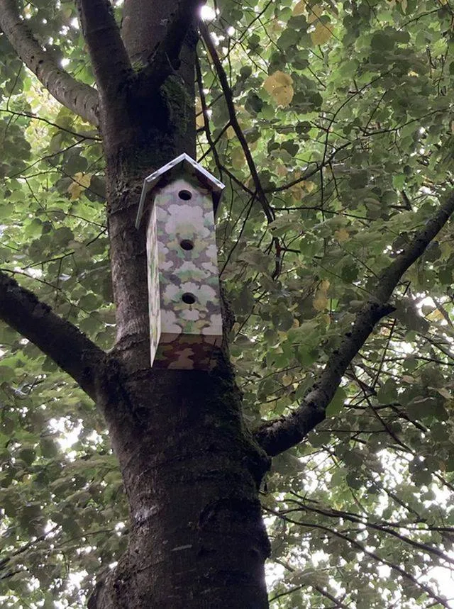 Bomenhub wordt booming -