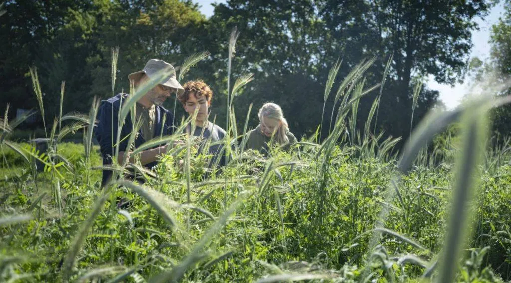 Biologische teelt in Velp