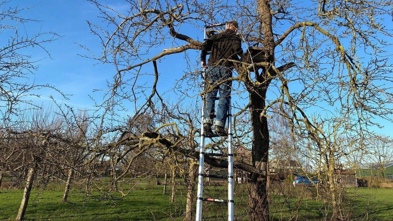Op de nieuwe uitschuifladder. José Bruens