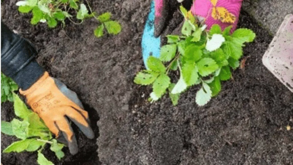 Tuinvergroeningsdag in Ecopark Gendt 28.03.2026