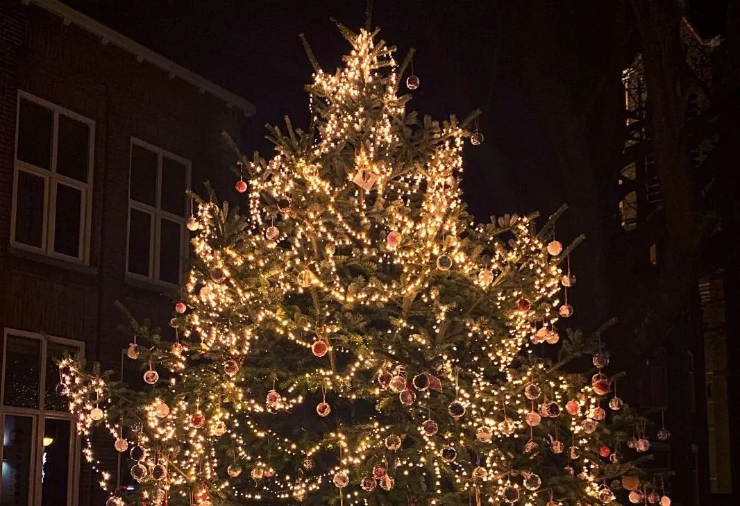 316134915 2943353275960182 7772461454143234932 n