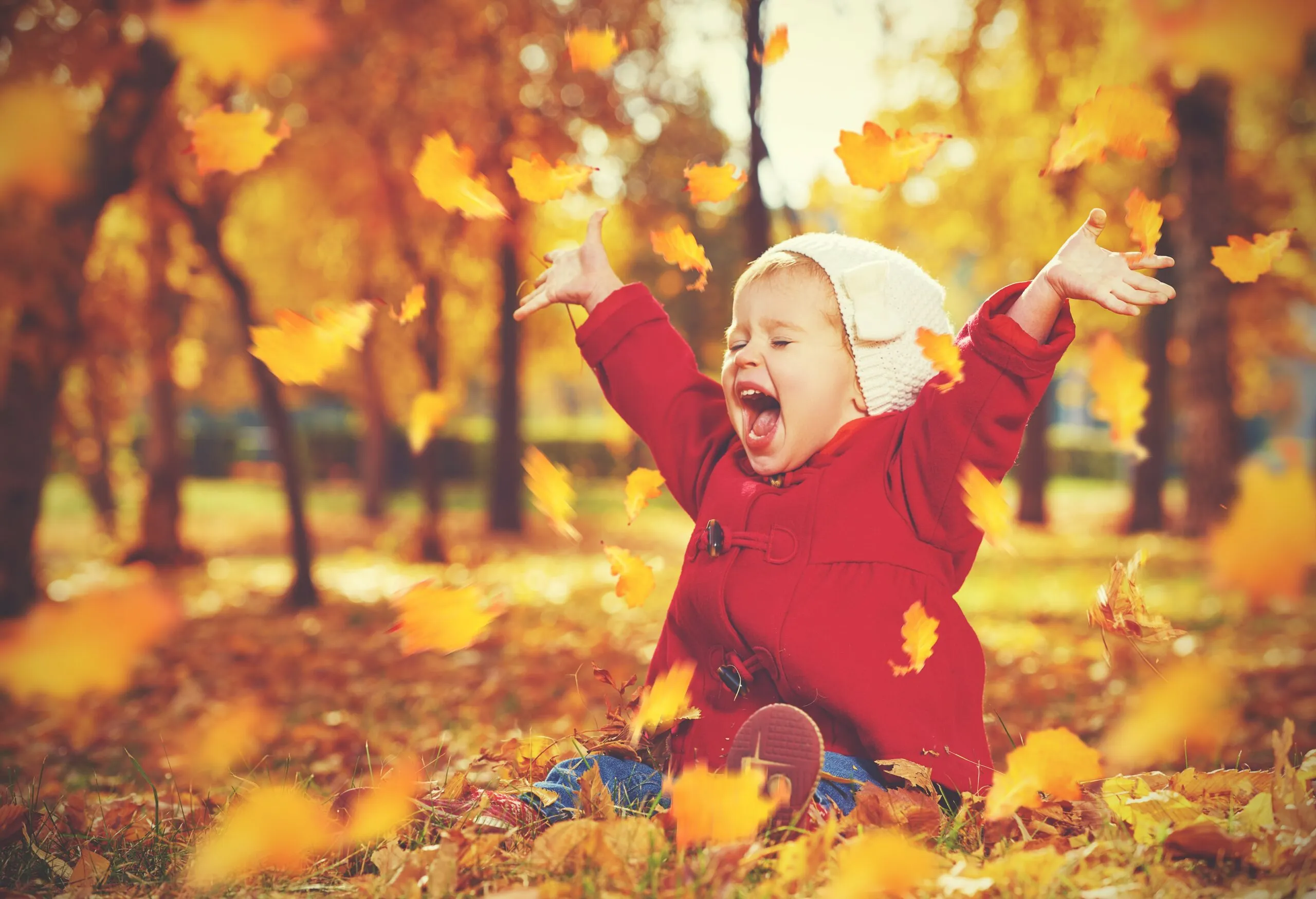 shutterstock 220567366 hoera herfstkind scaled