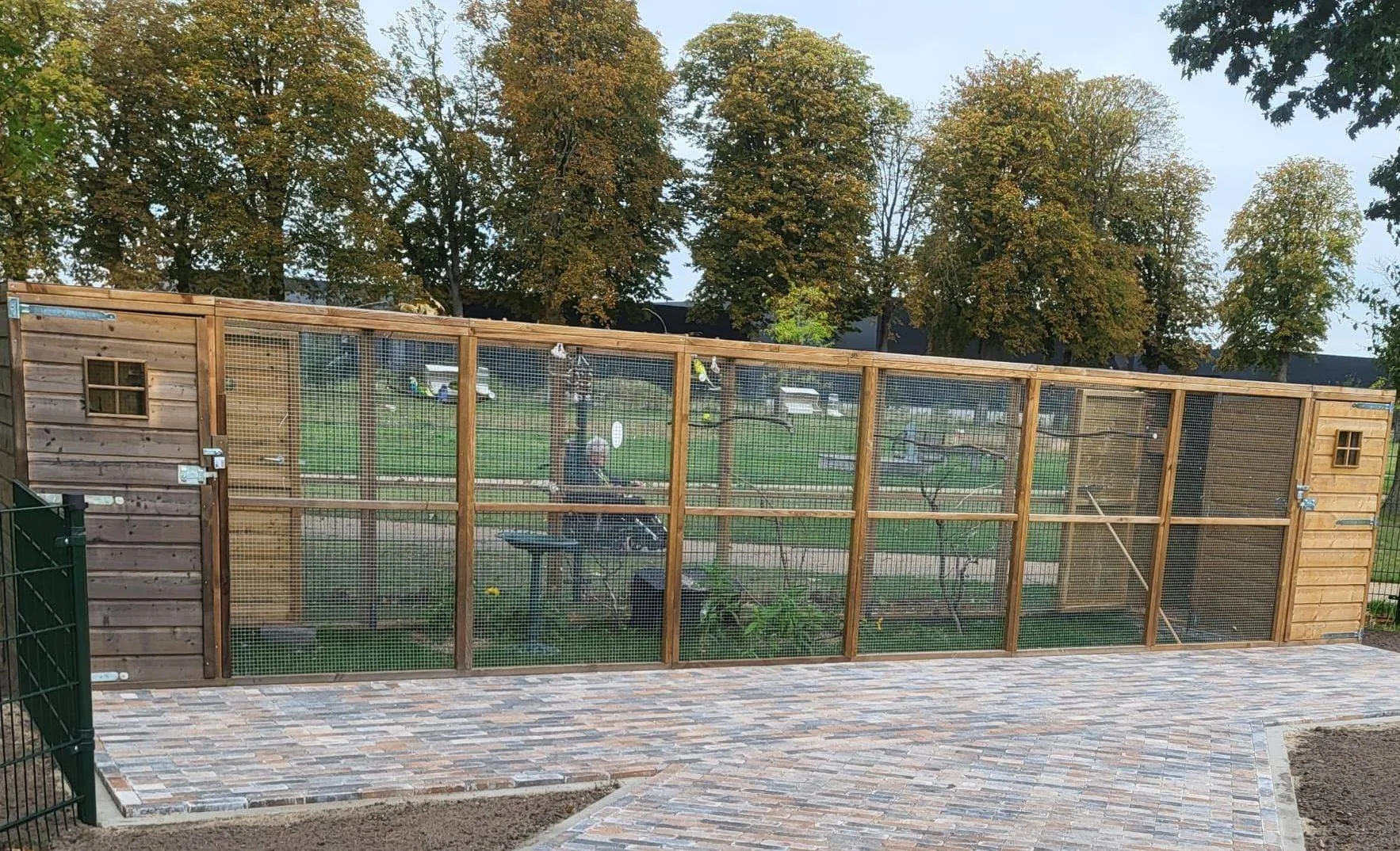 549700876_4132306620345954_6187972287274492688_n