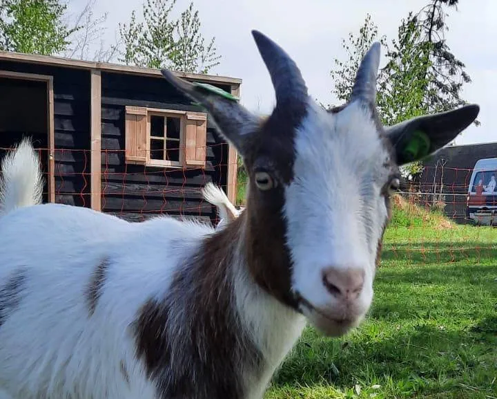 515933894_3170344386447909_3745725258046639909_n