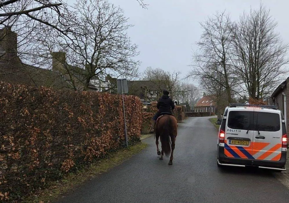 622045265_1347073750787174_8024675656946675692_n