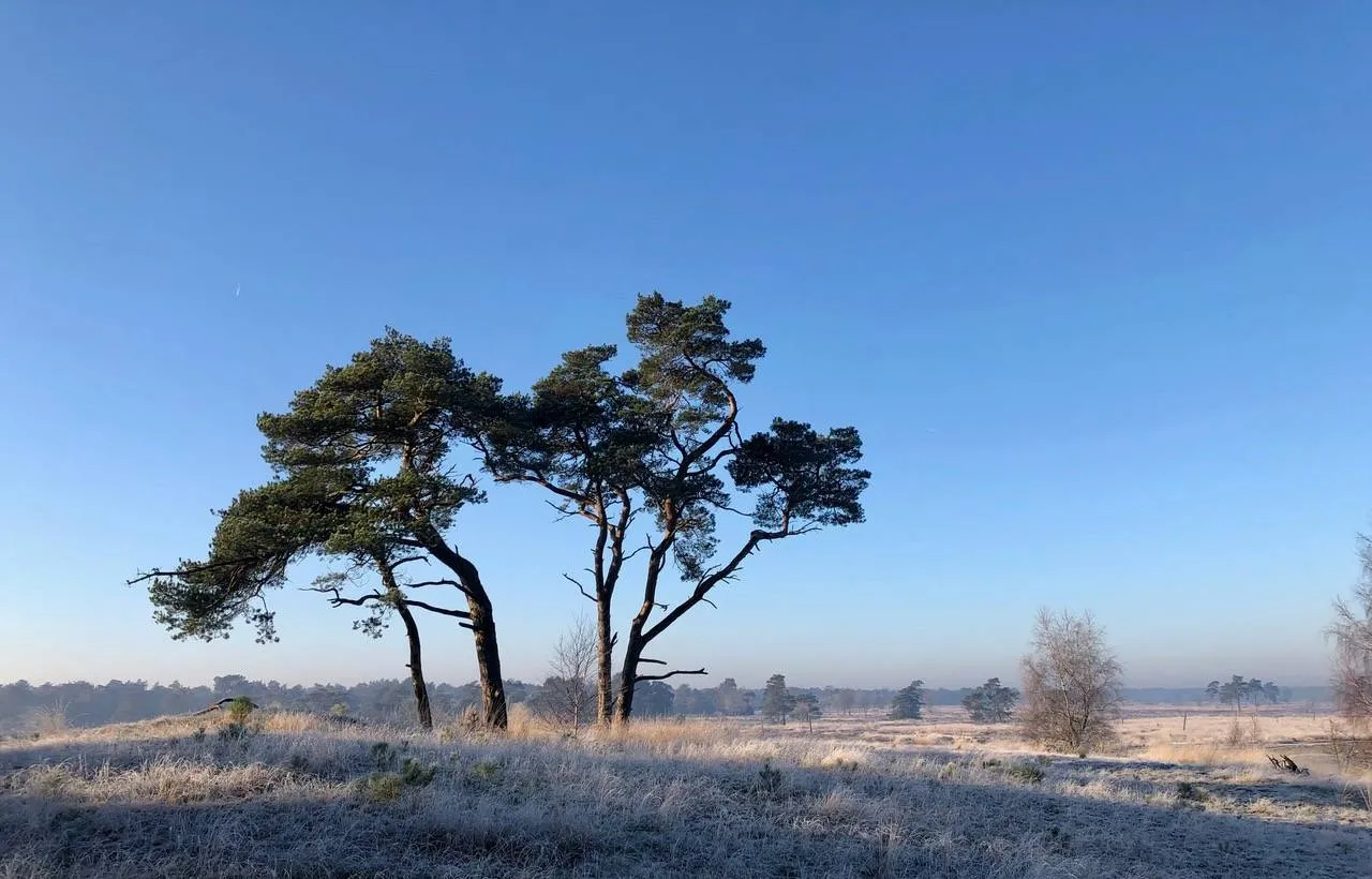Giersbergen 1-3-2026