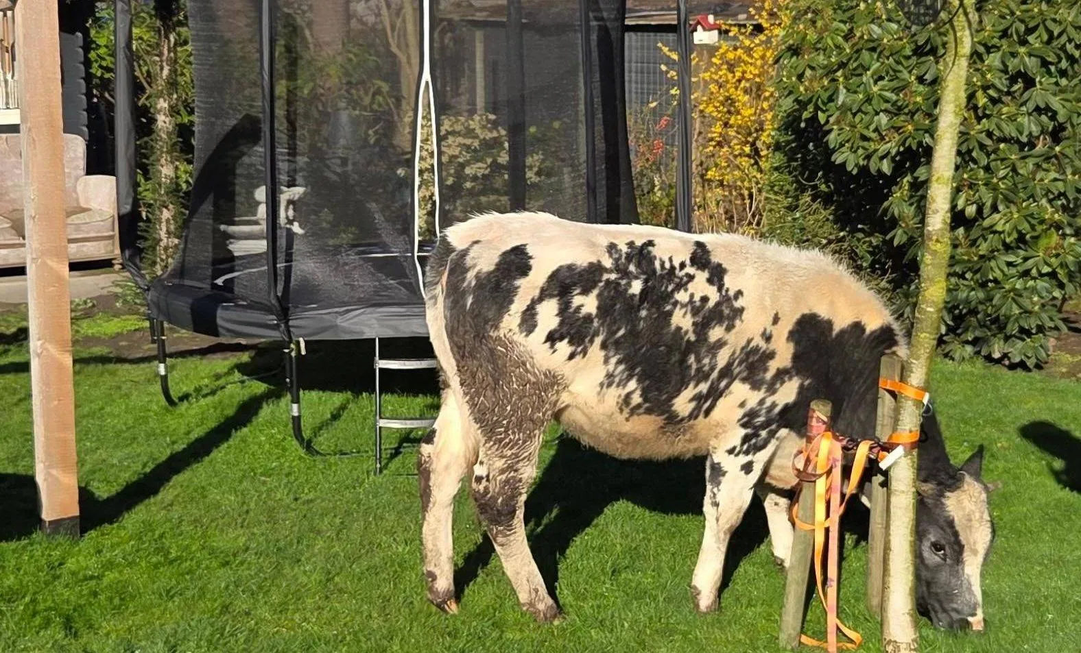 651194431_1385331836961365_7426811459334770283_n