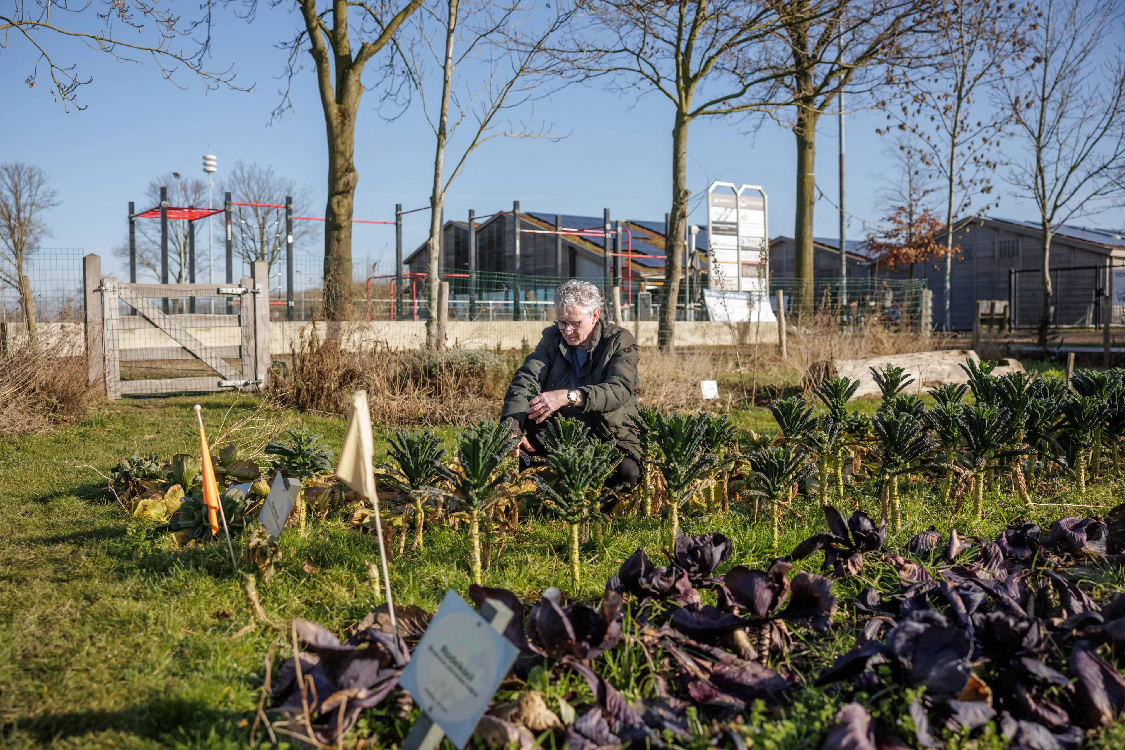 Moestuin-van-Onder-d-n-Plag-foto-door-Angeline-Swinkels