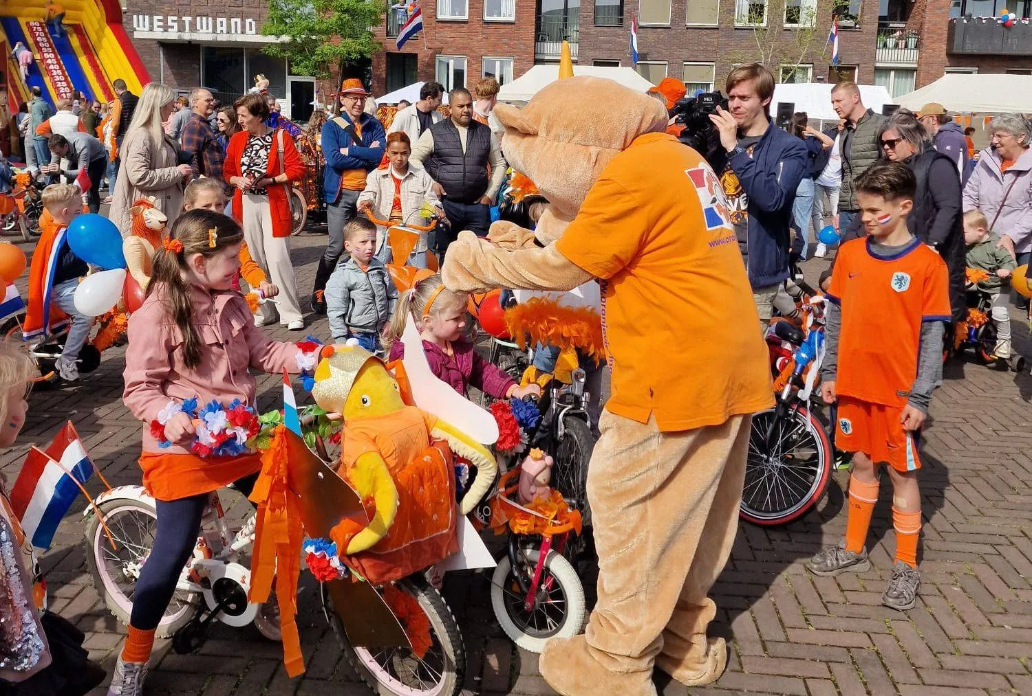 WhatsApp Image 2026-02-04 at 16.07.55