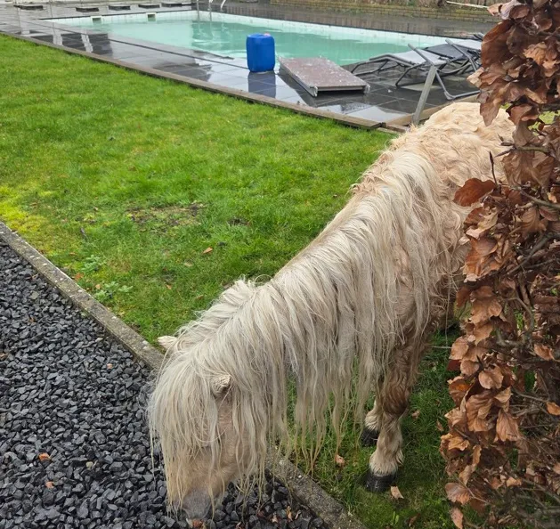 Scherm­afbeelding 2026-03-02 om 09.34.43