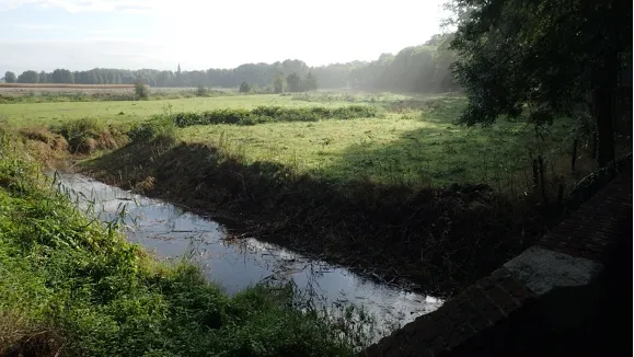 IVN Roermond e.o.: Fietstocht langs beken in Midden-Limburg