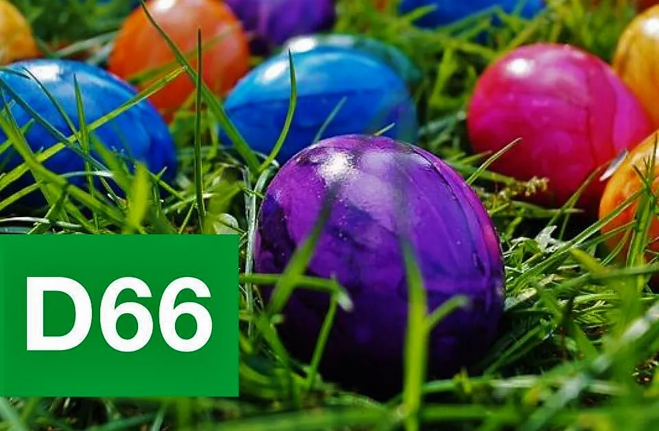 57398699 1222305577929585 1675047686505496576 n