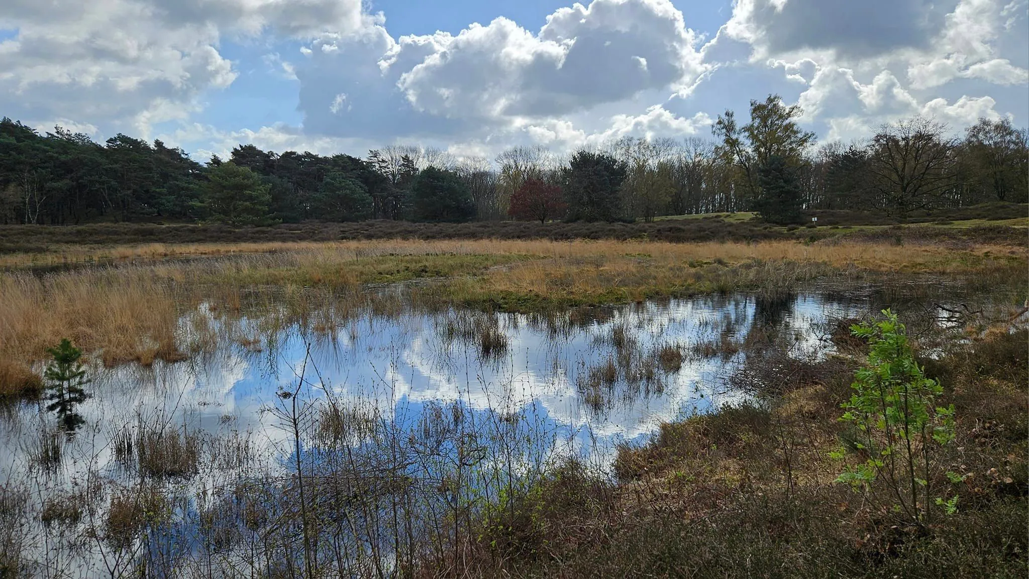 bezoek beegderheide