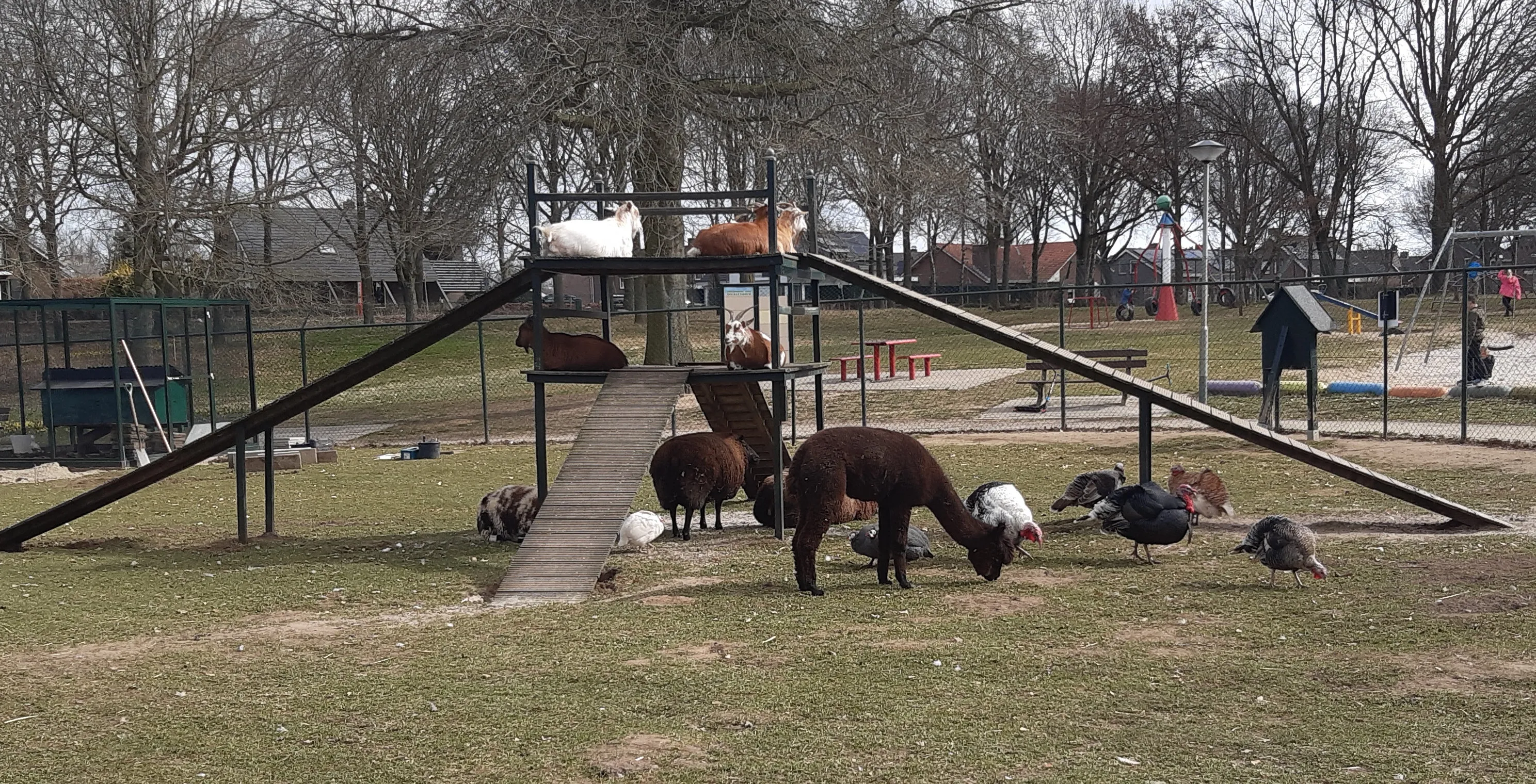 breedeerkes park 20220312 122827