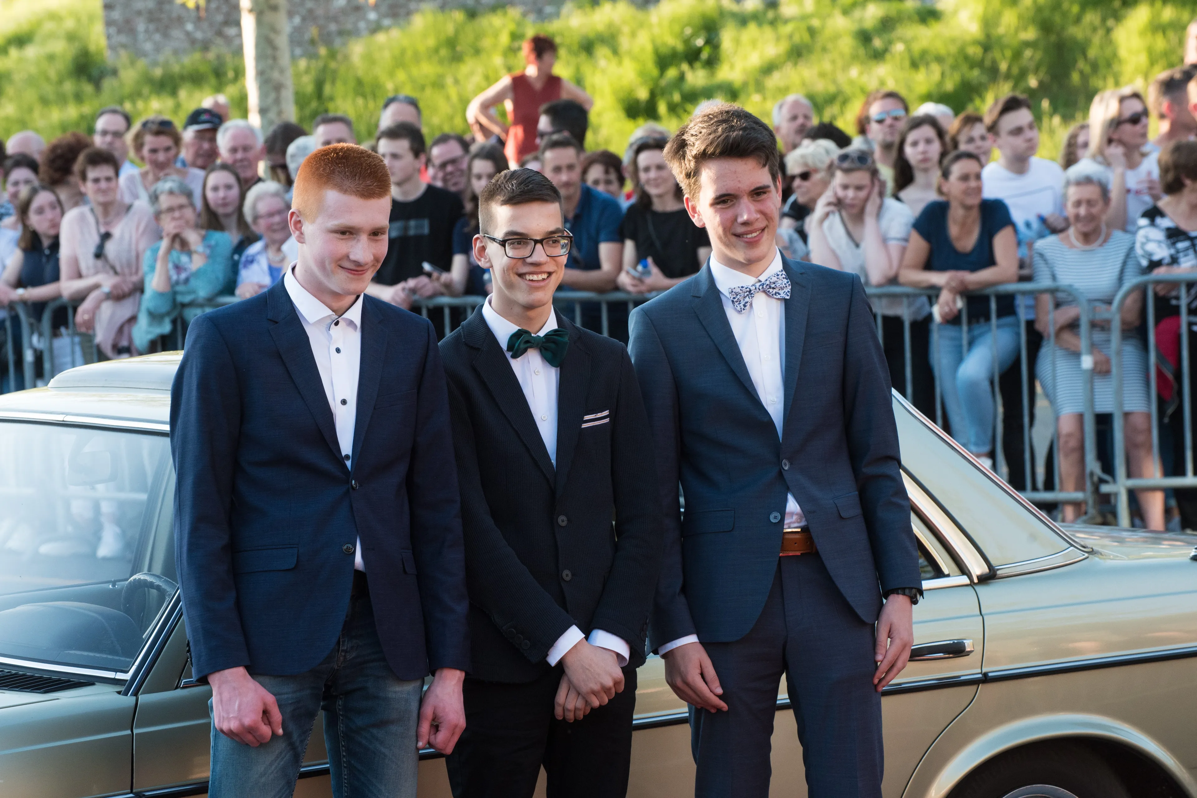 gala stefan 9567