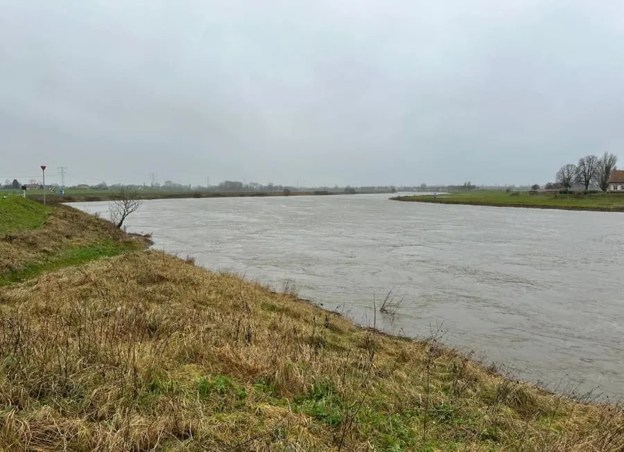 Stijgende waterstanden: gemeente Maasgouw neemt maatregelen