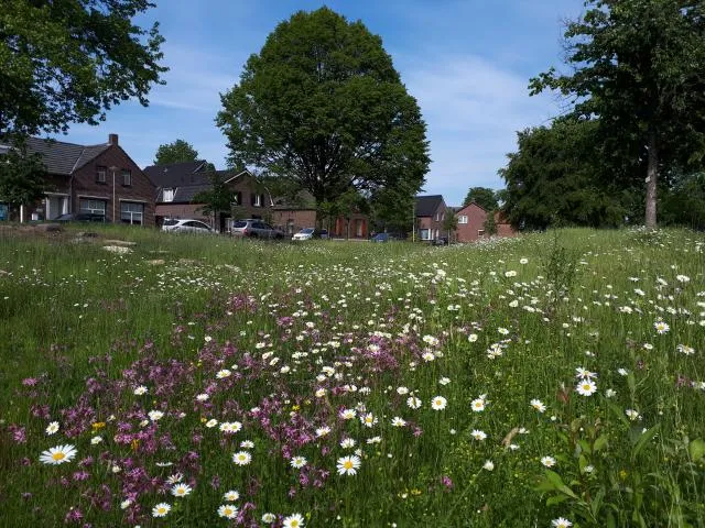 lente ecologisch beheer