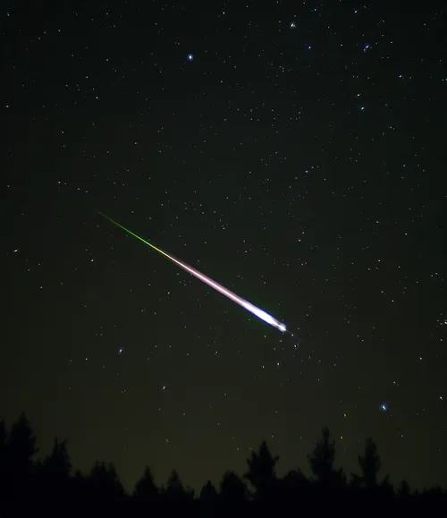 leonid meteor wikipedia sm