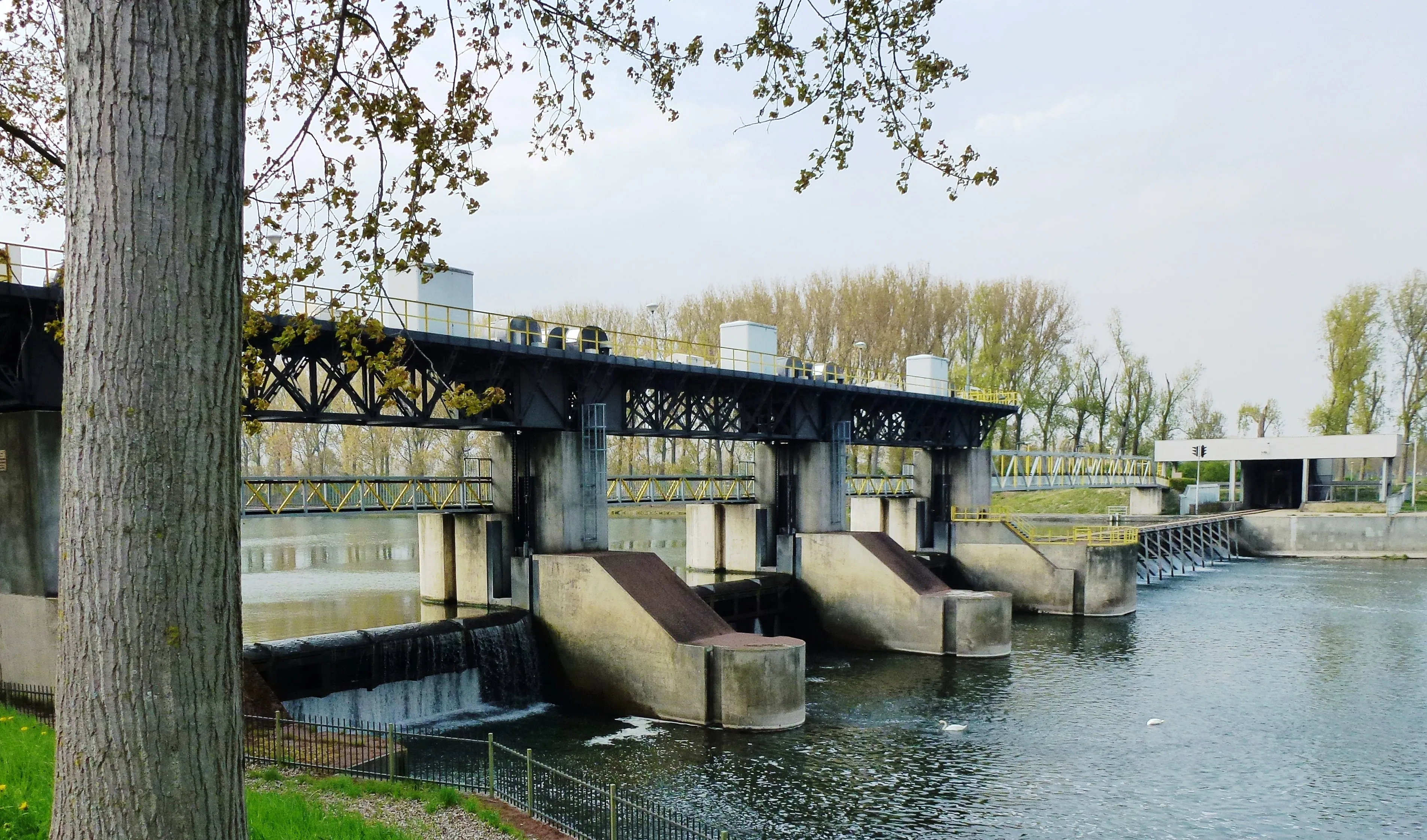 linne maasgouw stuw in de maas