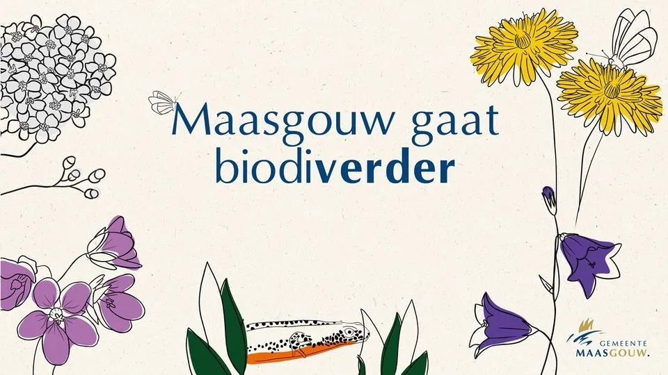 Gemeente Maasgouw gaat biodiverder met bioversitair