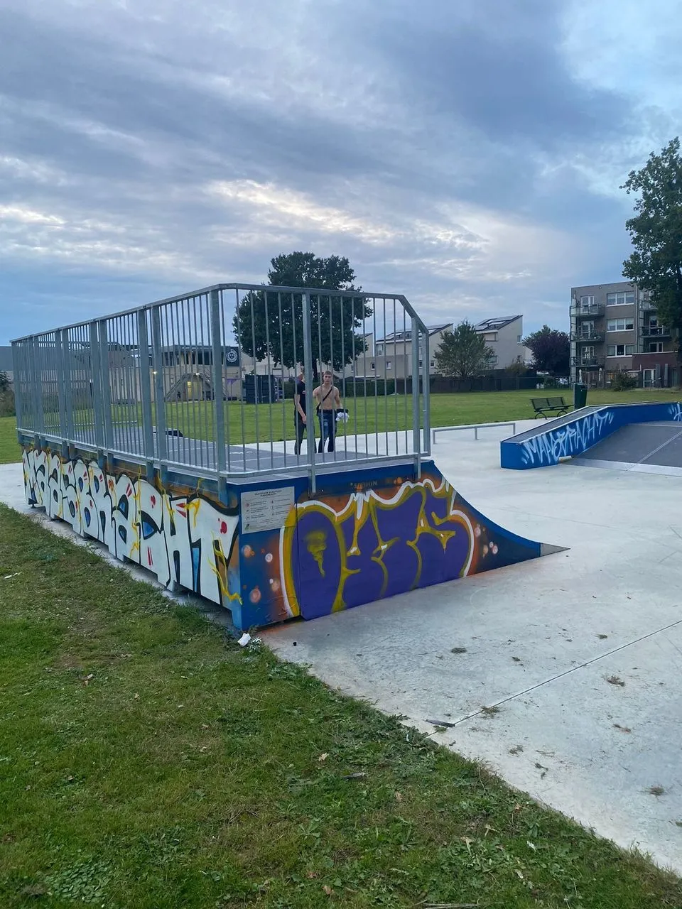 skatepark maasbracht graffiti