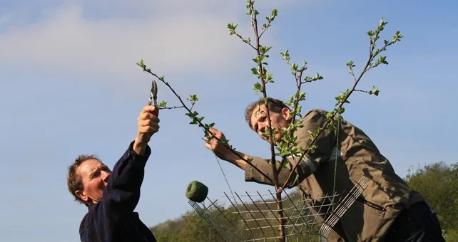 snoeien fruitbomen workshop