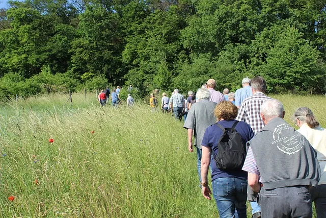 wandelgroep mensen wandelvierdaagse heel