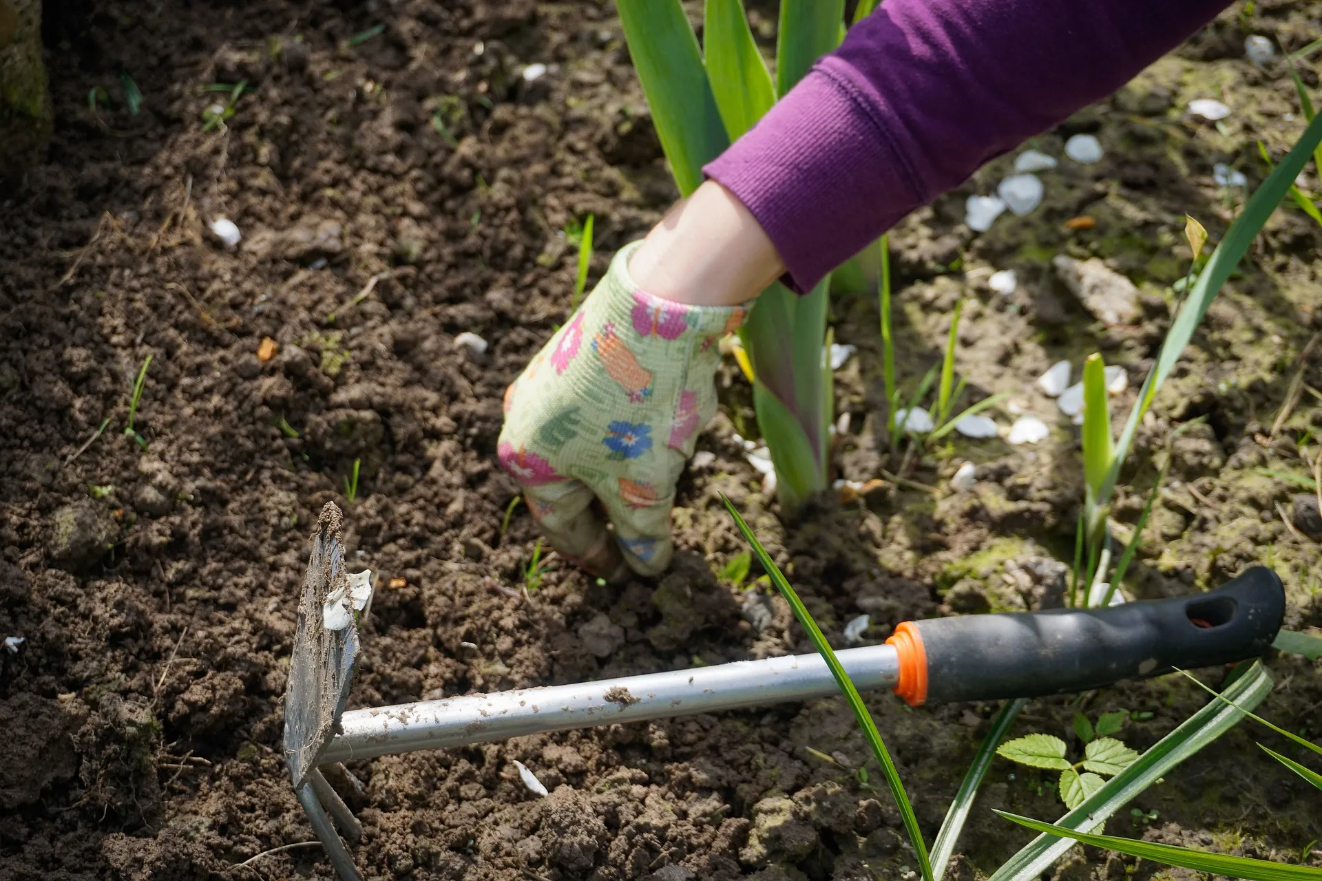 work in the garden 2432111 1920