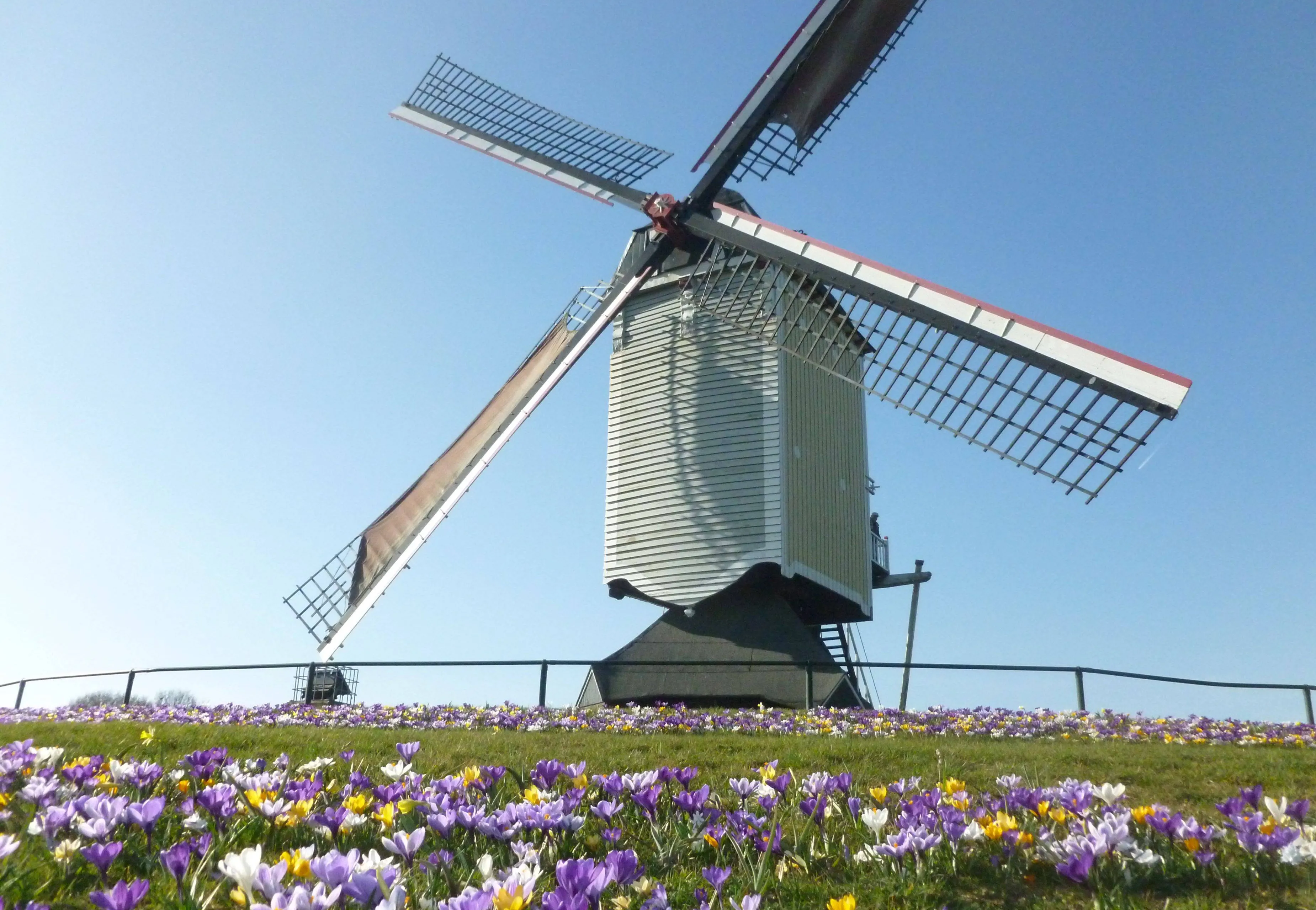 Opleiding tot vrijwillige molengids