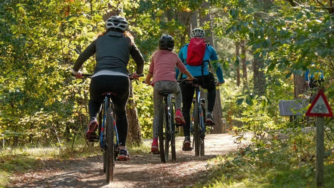 mobiliteit bicycles 5661632 1280 px 1