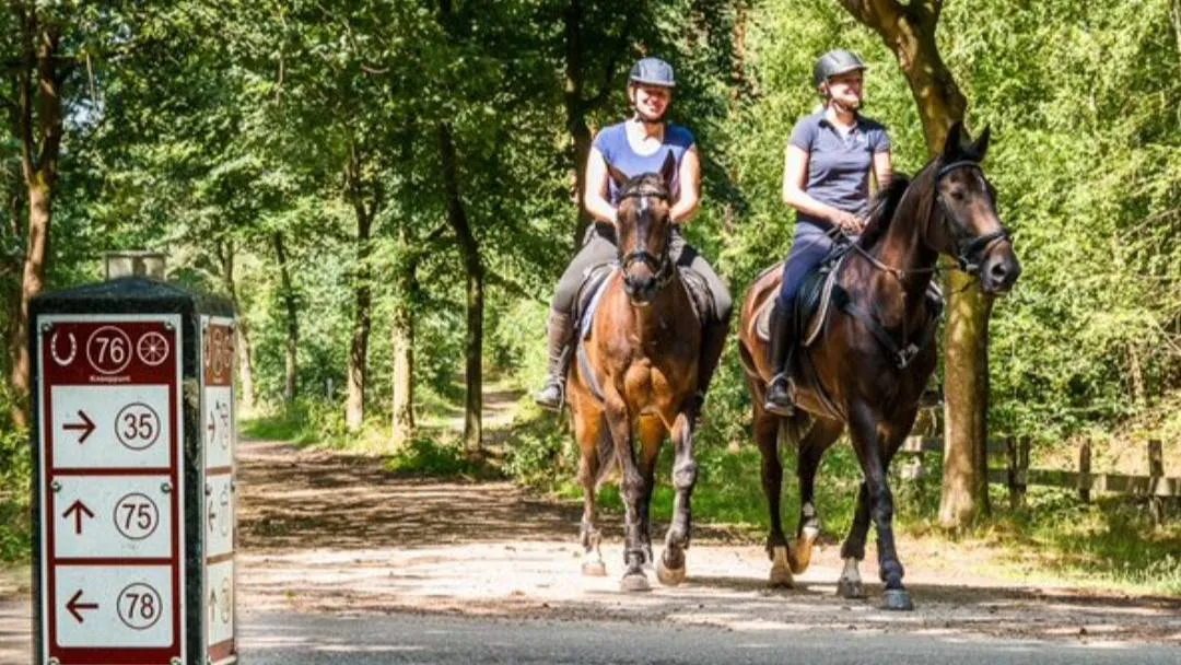 Recreatief paardrijden in Grenspark Maas-Swalm-Nette staat centraal in L1-serie Paardenkracht