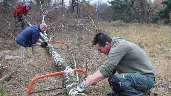 Samen met Hakhoutbrigade Maasgouw aan de slag op de Beegderheide