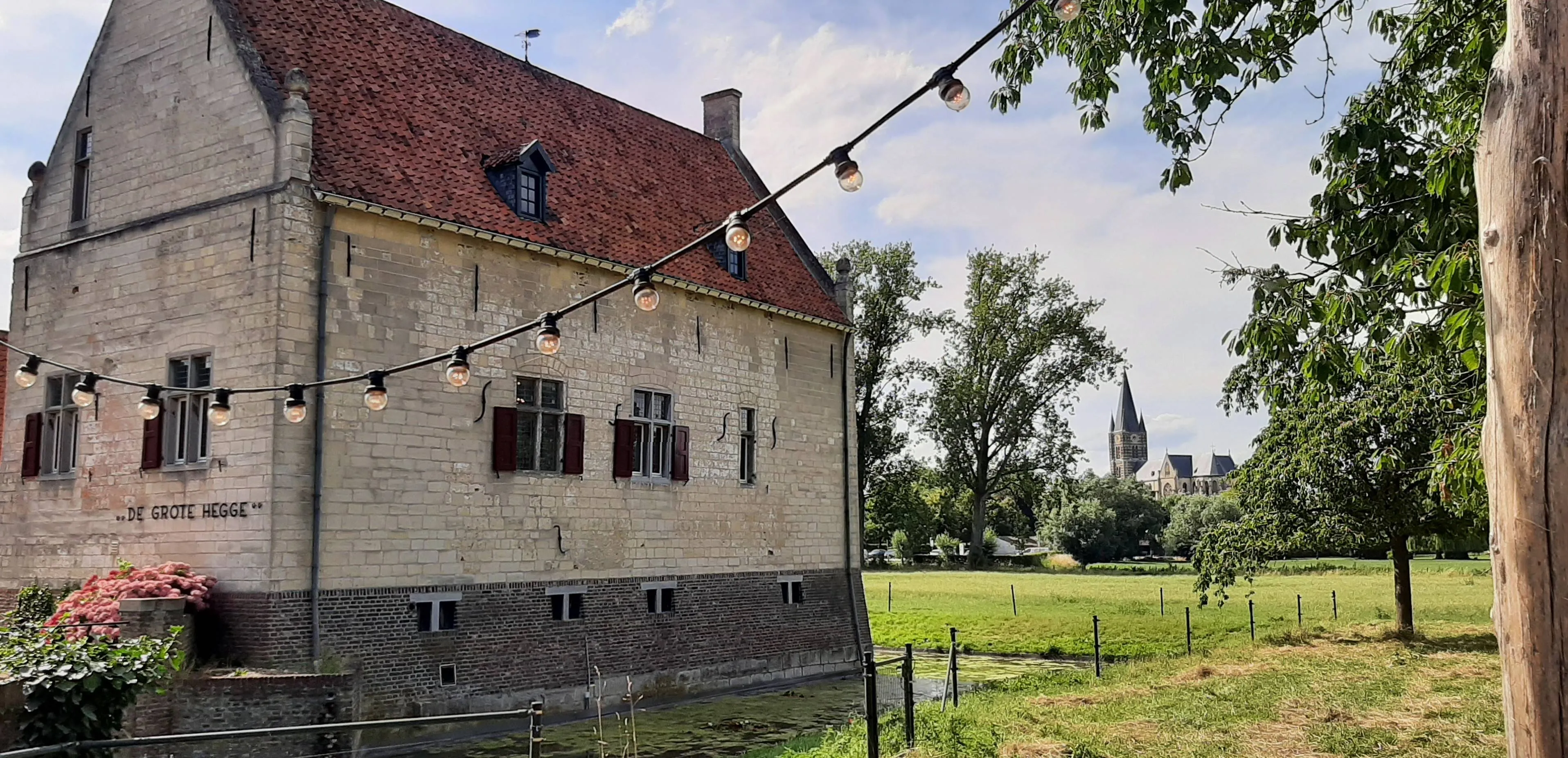 Wandel mee met de VVV Themawandeling: Natuurlijk Thorn