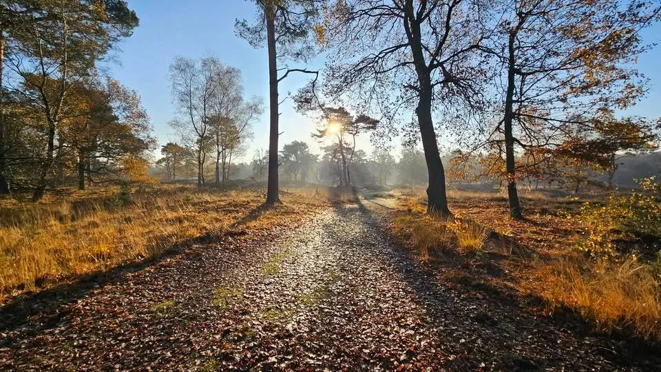 Beegderheide - FB - 598643342_1327479772752726_6648490578820047473_n