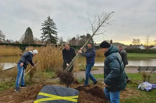 kastanjeboom - 598901910_1324347293065974_4698837343021371901_n-FB-1