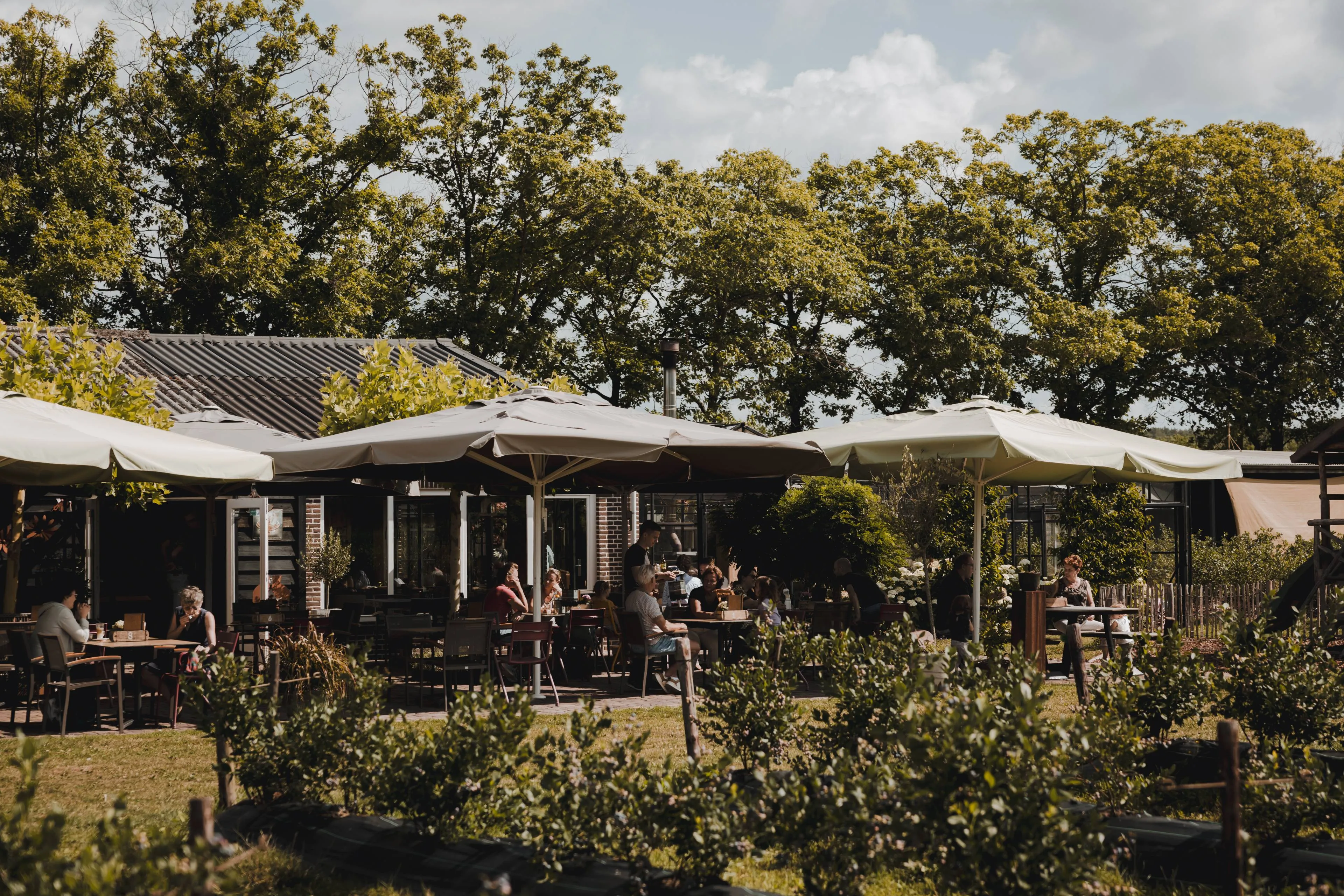 ©HartvanLimburg Plantage Blankwater Terras