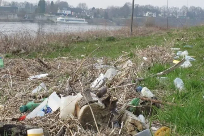 20250329 schone maas-1