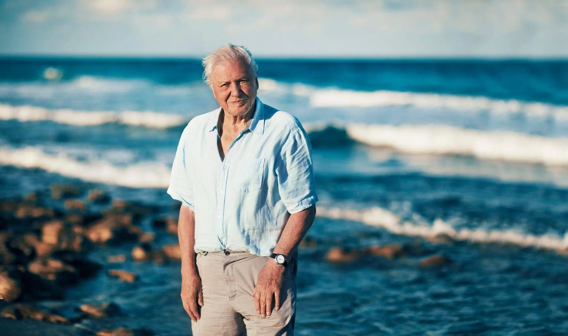Sir David Attenborough National Geographic