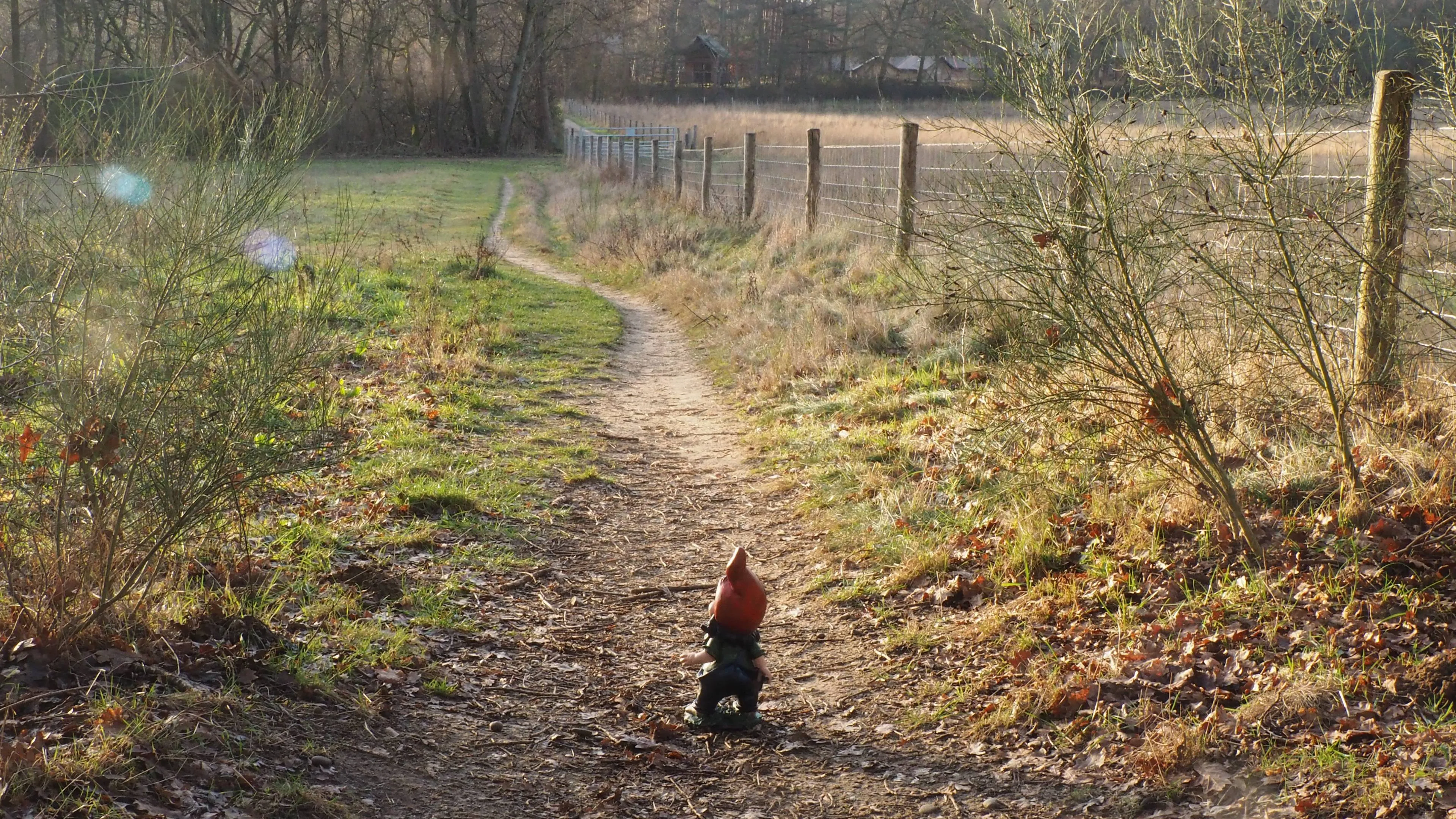 Fotozoektocht voor de jeugd: op zoek naar de kabouter