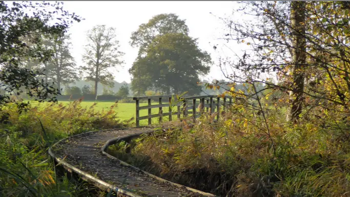 wandeltocht-brug Brach SV Ell