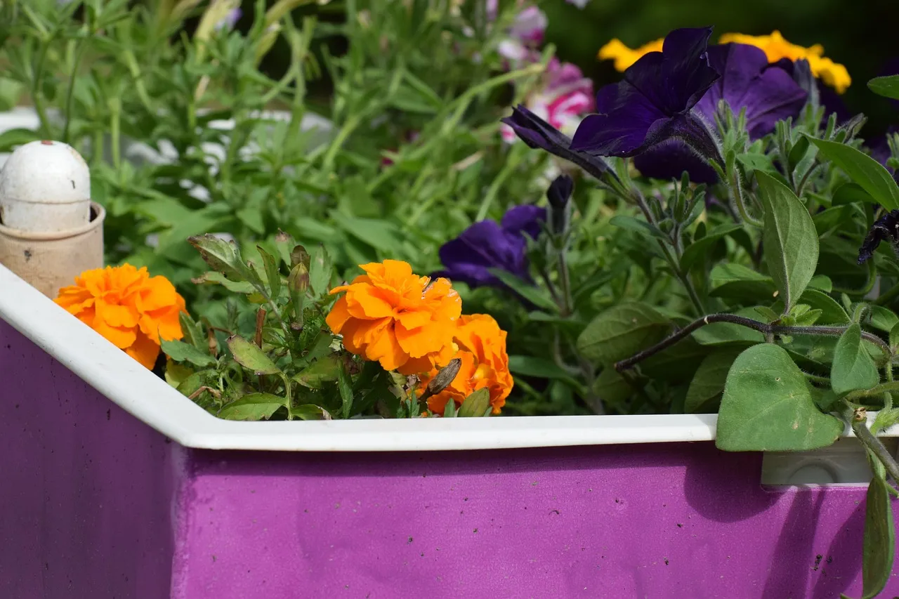 flower boxes 3542492 1280