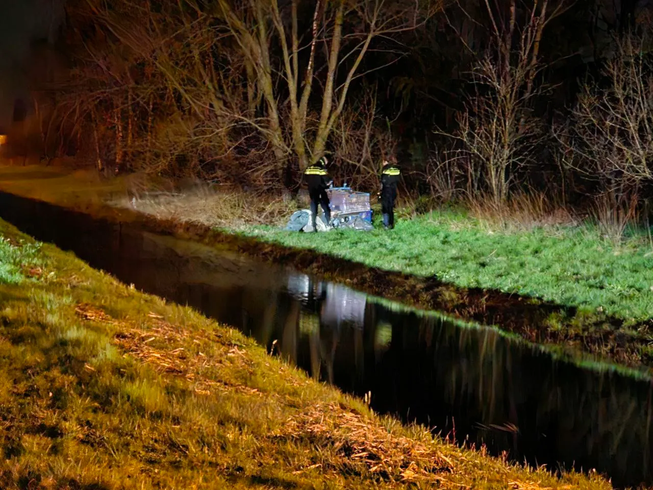 img 20240224 233450 779