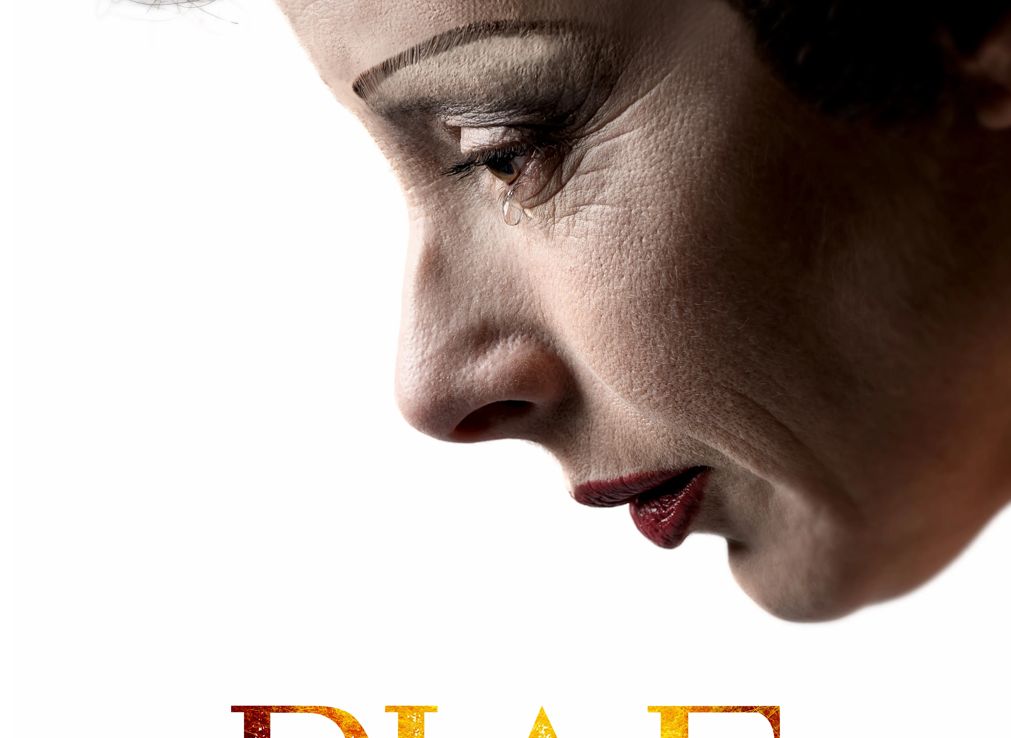 promobeeld piaf staand met logo fotograaf annemieke van der togt