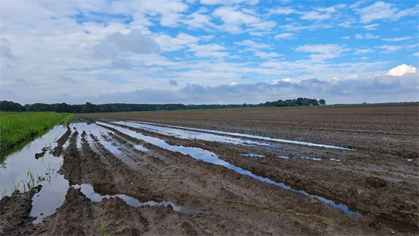 verhoogde grondwaterstanden