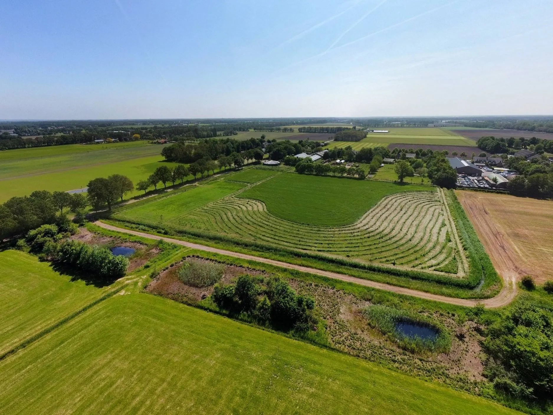 foto agroforestryblueprint