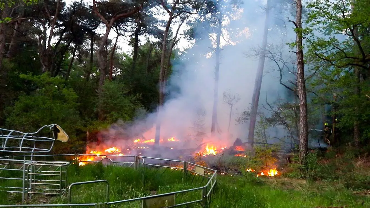 img 20250502 221031 163