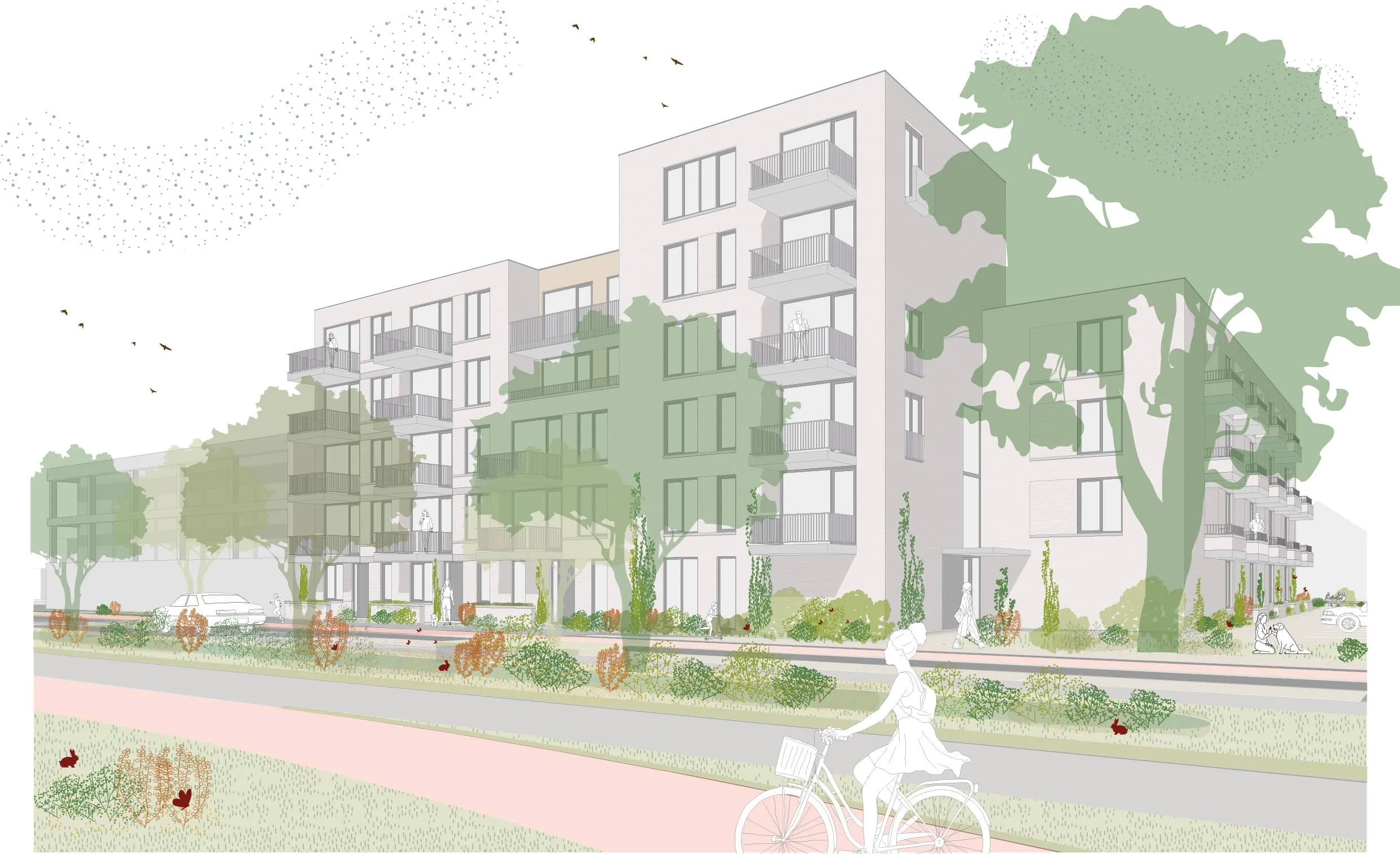 Violierstraat Uden 01